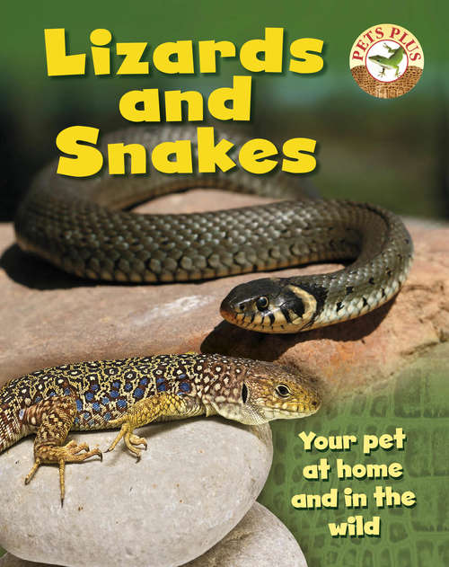 Book cover of Lizards and Snakes (Pets Plus)