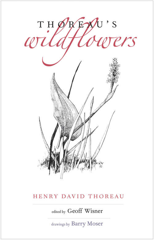 Book cover of Thoreau's Wildflowers