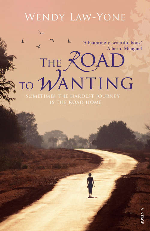Book cover of The Road to Wanting