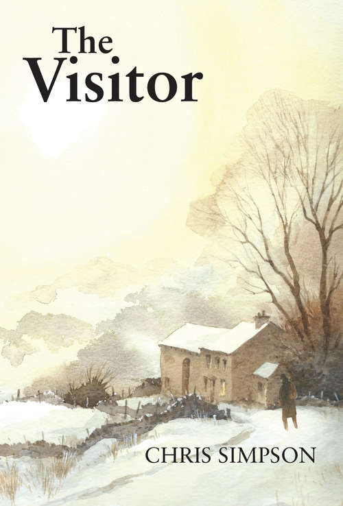 Book cover of The Visitor: A Christmas Story from the Yorkshire Dales
