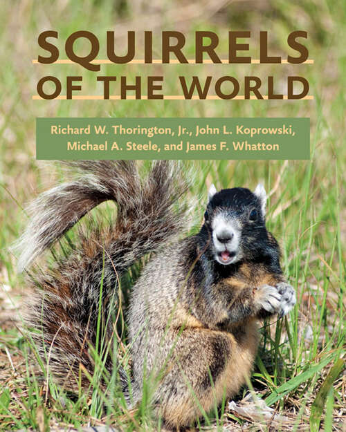 Book cover of Squirrels of the World