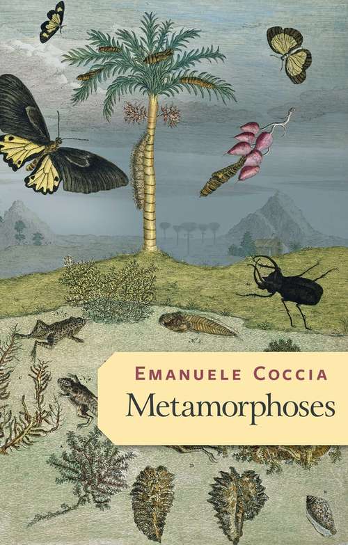 Book cover of Metamorphoses