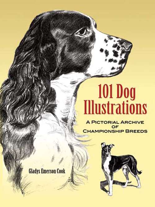 Book cover of 101 Dog Illustrations: A Pictorial Archive of Championship Breeds