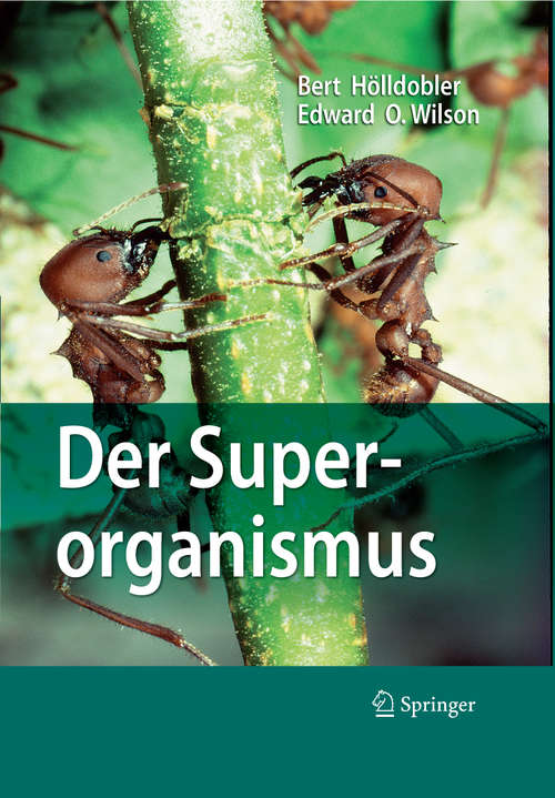 Book cover of Der Superorganismus: Der Erfolg von Ameisen, Bienen, Wespen und Termiten (1. Aufl. 2010)