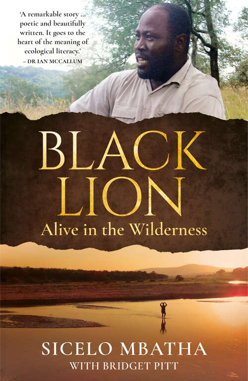 Book cover of Black Lion: Alive in the Wilderness
