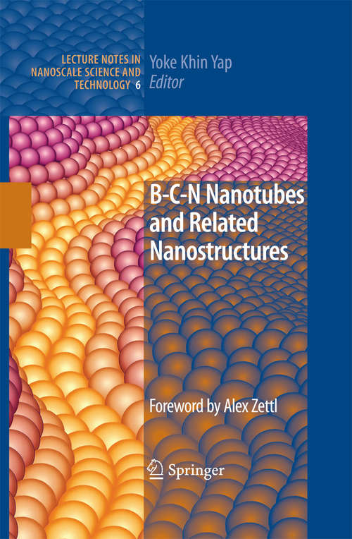 Book cover of B-C-N Nanotubes and Related Nanostructures (2009) (Lecture Notes in Nanoscale Science and Technology #6)