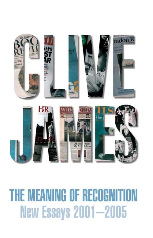 Book cover of The Meaning of Recognition: New Essays 2001-2005