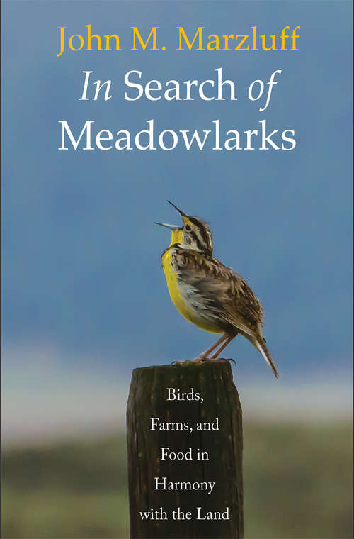 Book cover of In Search of Meadowlarks: Birds, Farms, and Food in Harmony with the Land
