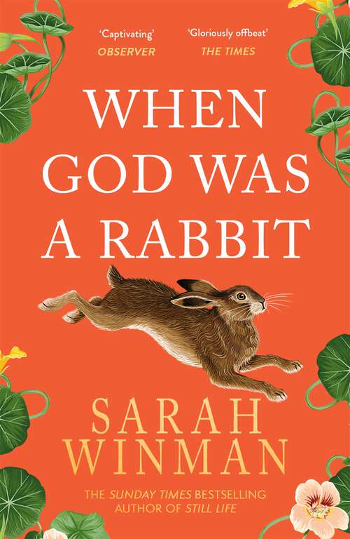 Book cover of When God was a Rabbit: From the bestselling author of STILL LIFE