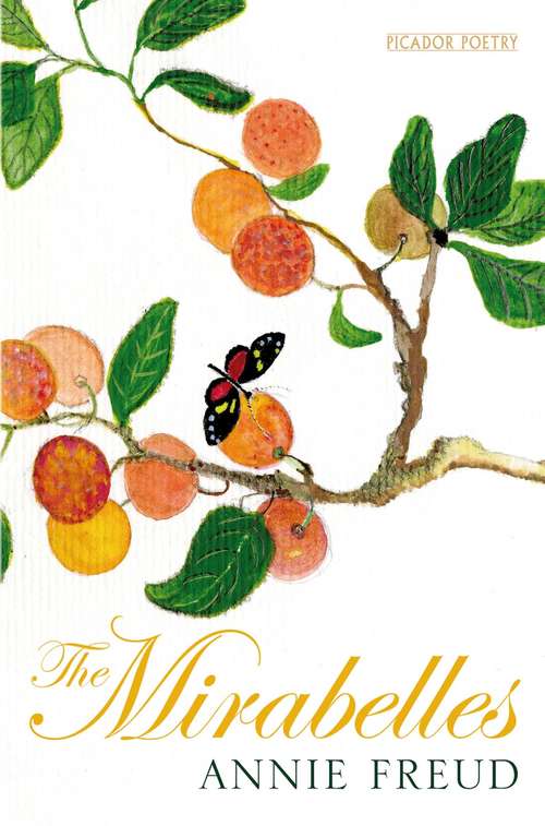 Book cover of The Mirabelles