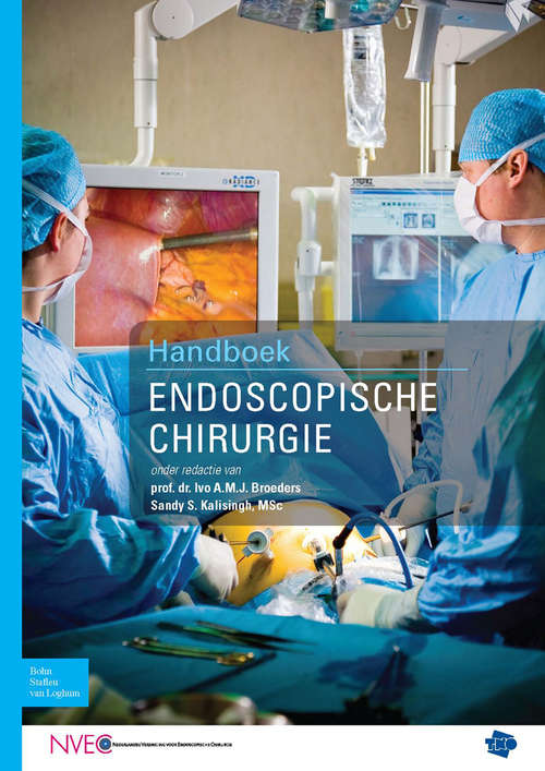 Book cover of Handboek endoscopische chirurgie (2009)