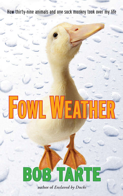 Book cover of Fowl Weather