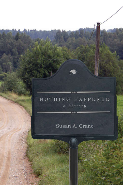 Book cover of Nothing Happened: A History