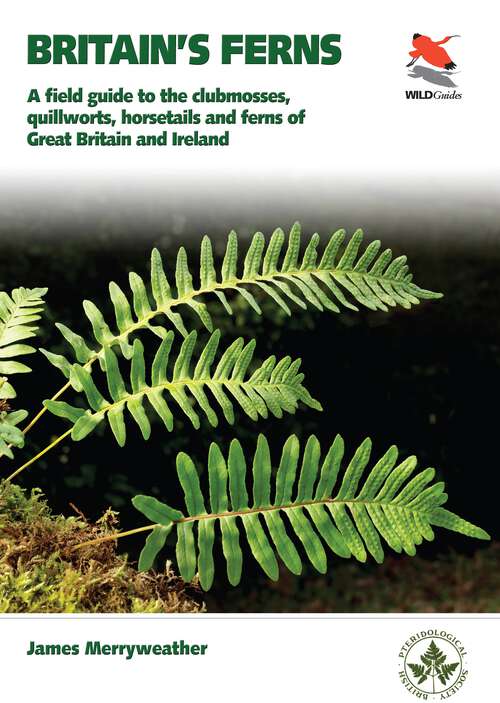 Book cover of Britain's Ferns: A Field Guide to the Clubmosses, Quillworts, Horsetails and Ferns of Great Britain and Ireland (WILDGuides #31)