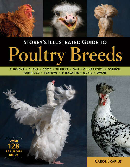 Book cover of Storey's Illustrated Guide to Poultry Breeds: Chickens, Ducks, Geese, Turkeys, Emus, Guinea Fowl, Ostriches, Partridges, Peafowl, Pheasants, Quails, Swans