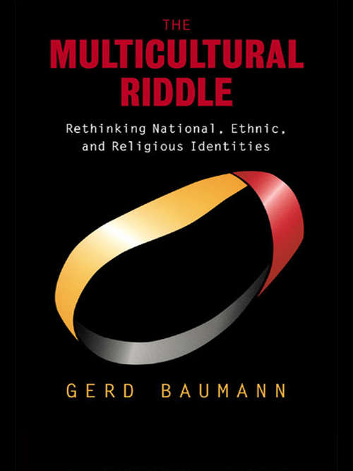 Book cover of The Multicultural Riddle: Rethinking National, Ethnic and Religious Identities