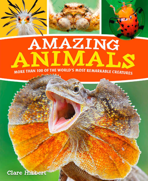 Book cover of Amazing Animals: More than 100 of the World's Most Remarkable Creatures