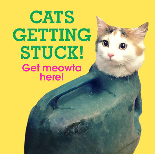 Book cover of Cats Getting Stuck!