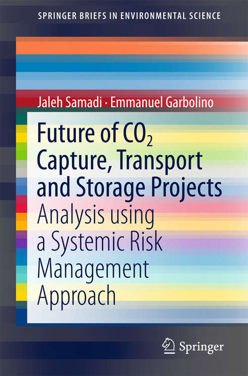 Book cover of Future of CO2 Capture, Transport and Storage Projects: Analysis using a Systemic Risk Management Approach (SpringerBriefs in Environmental Science)