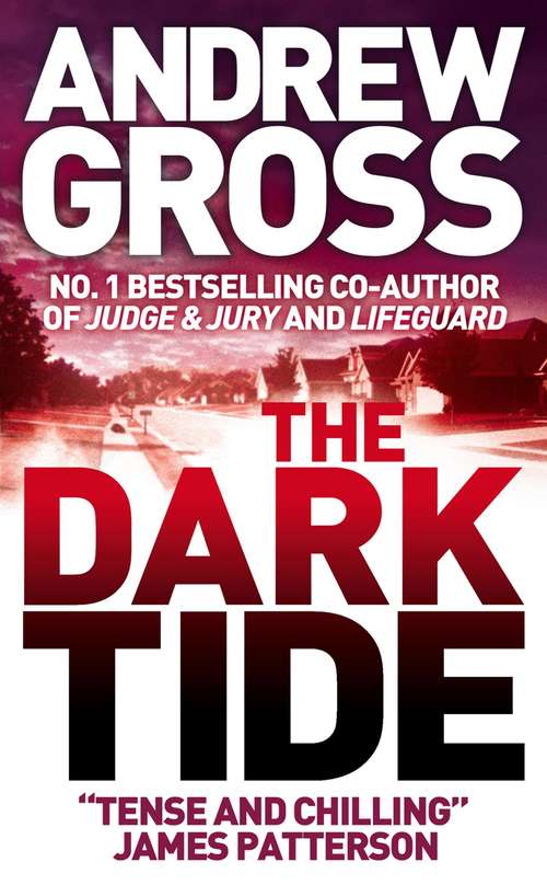 Book cover of The Dark Tide (ePub edition) (The\ty Hauck Ser.: Bk. 1)