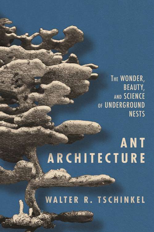 Book cover of Ant Architecture: The Wonder, Beauty, and Science of Underground Nests