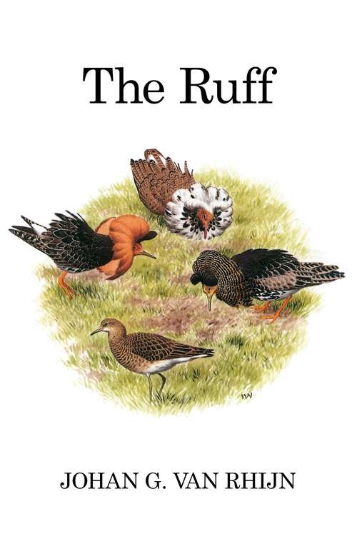 Book cover of The Ruff: Individuality In A Gregarious Wading Bird (Poyser Monographs #67)