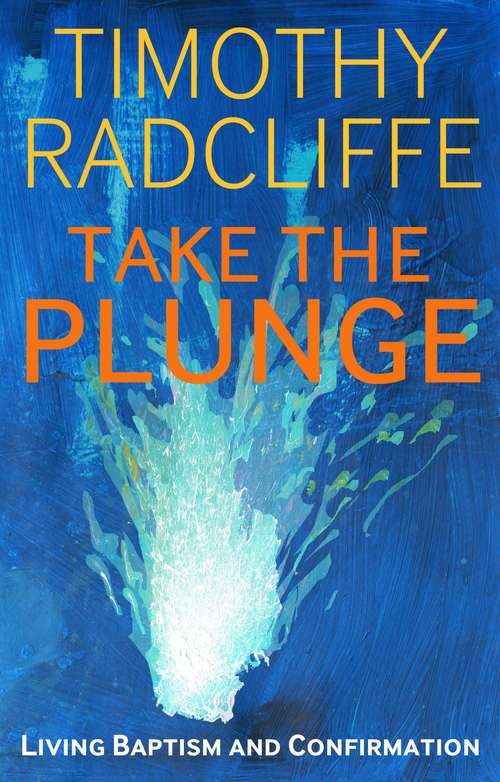 Book cover of Take the Plunge: Living Baptism and Confirmation