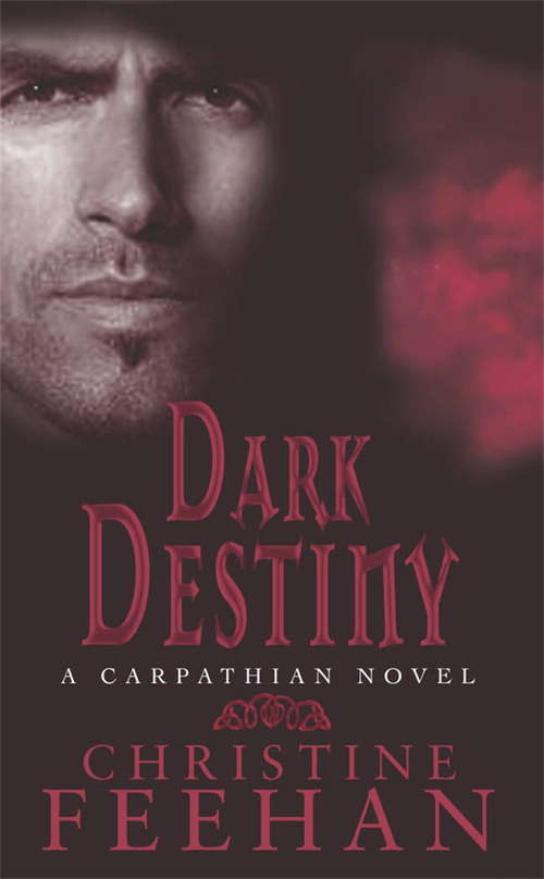 Book cover of Dark Destiny: Number 13 in series ('Dark' Carpathian #13)
