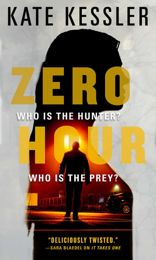 Book cover of Zero Hour (Audrey Harte)