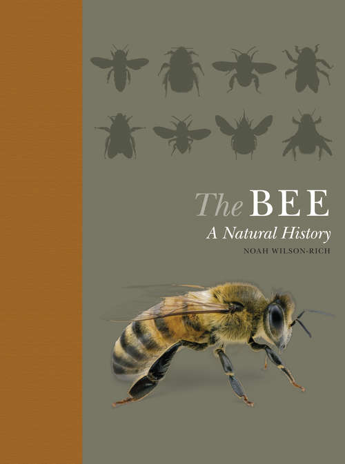 Book cover of The Bee: A Natural History