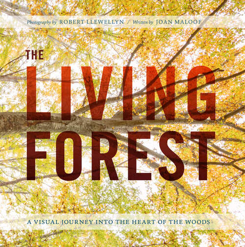 Book cover of The Living Forest: A Visual Journey Into the Heart of the Woods