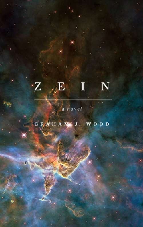 Book cover of Zein: The Prophecy (Zein Ser. #1)