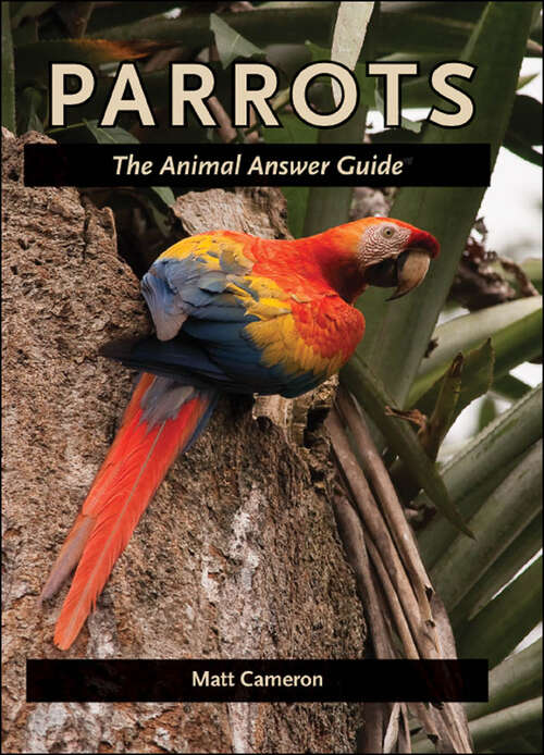 Book cover of Parrots: The Animal Answer Guide (The Animal Answer Guides: Q&A for the Curious Naturalist)