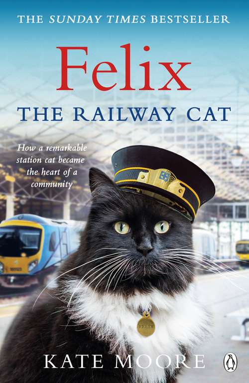 Book cover of Felix the Railway Cat