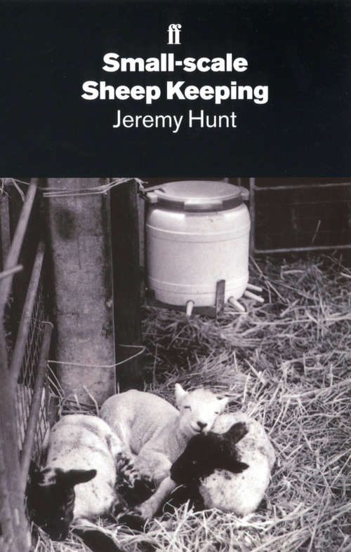Book cover of Small-Scale Sheep Keeping (Main)
