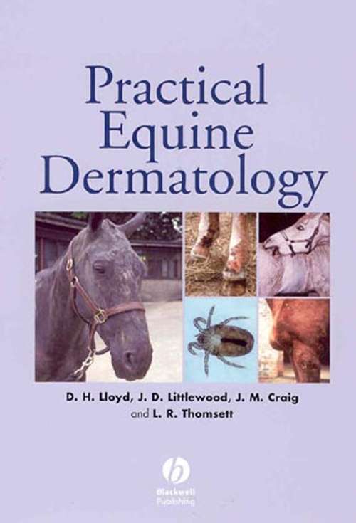 Book cover of Practical Equine Dermatology