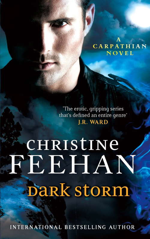 Book cover of Dark Storm: Number 23 in series ('Dark' Carpathian #23)