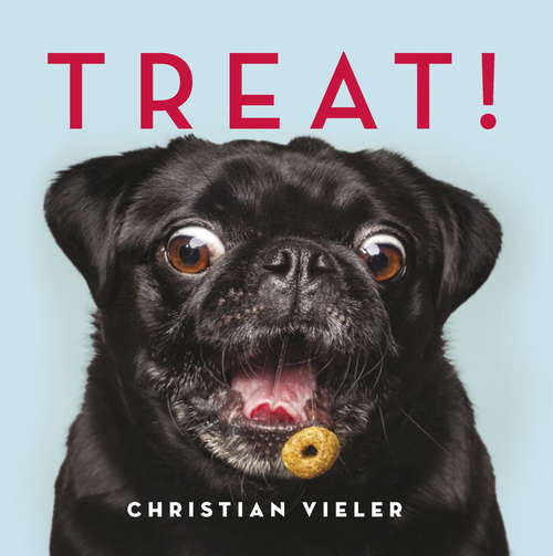 Book cover of Treat!: DOGS CATCHING TREATS: THE FUNNIEST DOG BOOK OF THE YEAR