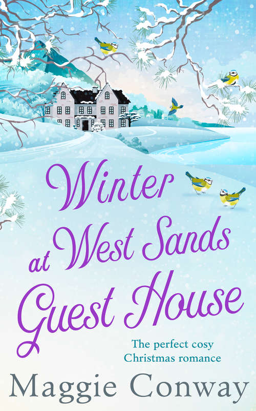Book cover of Winter at West Sands Guest House (ePub edition)