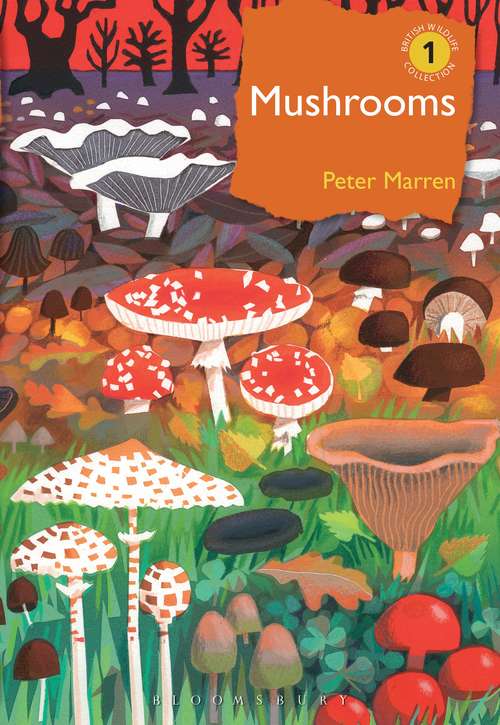 Book cover of Mushrooms: The natural and human world of British fungi (British Wildlife Collection)
