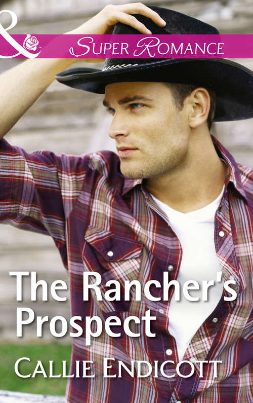 Book cover of The Rancher's Prospect: The Rancher's Prospect Prince Charming Wears A Badge The Good Mom Accidental Bodyguard (ePub edition) (Montana Skies #3)