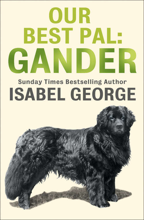 Book cover of Our Best Pal: Gender (ePub edition)