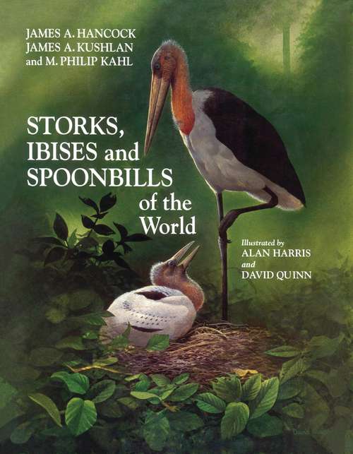 Book cover of Storks, Ibises and Spoonbills of the World (Helm Identification Guides)