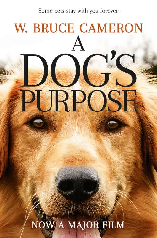 Book cover of A Dog's Purpose: A novel for humans (A Dog's Purpose #1)