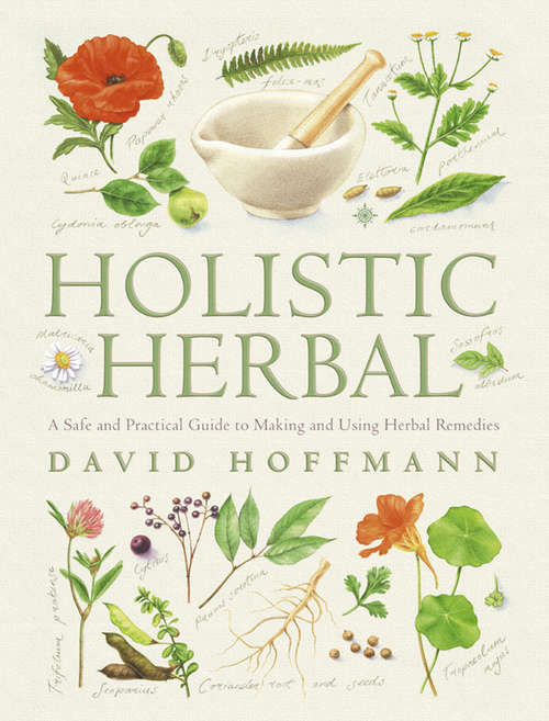 Book cover of Holistic Herbal: A Safe And Practical Guide To Making And Using Herbal Remedies (ePub edition) (Health Workbooks Ser.)