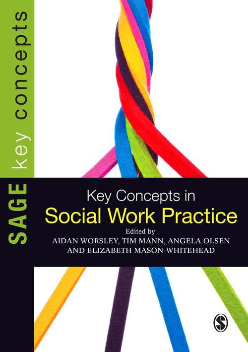 Book cover of Key Concepts in Social Work Practice (PDF)