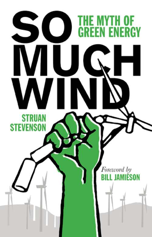 Book cover of So Much Wind: The Myth of Green Energy