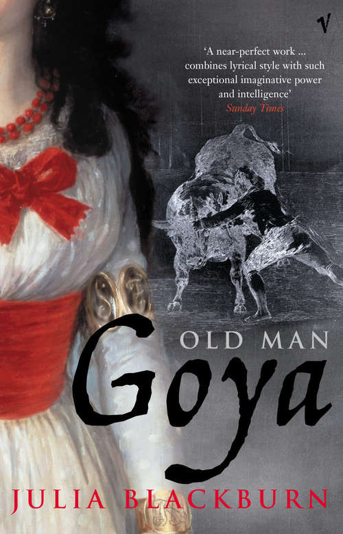 Book cover of Old Man Goya