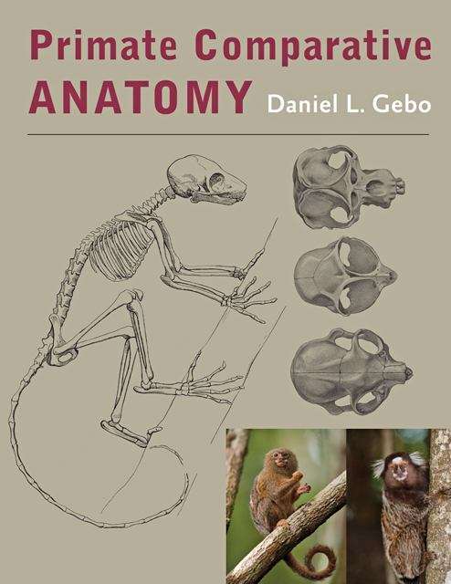 Book cover of Primate Comparative Anatomy (PDF)