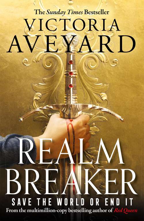 Book cover of Realm Breaker: From the author of the multimillion copy bestselling Red Queen series (Realm Breaker)